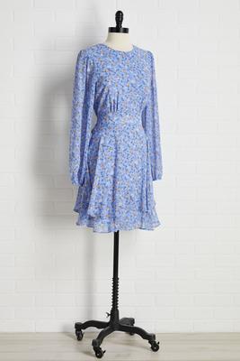 picnic in the park dress