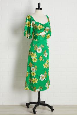 special guest dress