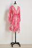  Popping Up Paisley Dress