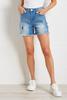  Patchy Patchy Denim Shorts