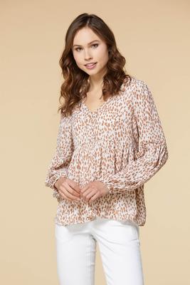 sign up for the safari top