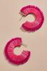 RASPBERRY_ROSE 131220