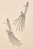 SILVER 134136