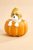 HARVEST_PUMPKIN 137411