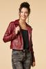  Rebel Girl Moto Jacket