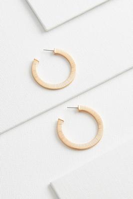 flat brushed metal hoops