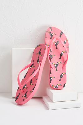 toucan bird flip-flops