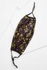 IDEAL_BLACK 88353
