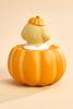  Pup- Kin Spice Stress Ball