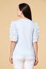  Flutter Around Top