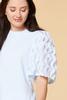  Flutter Around Top