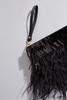  Caché Black Feather Crossbody